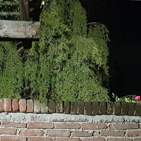Az.Agr.Cascina Moretta Momo Ngoại thất bức ảnh
