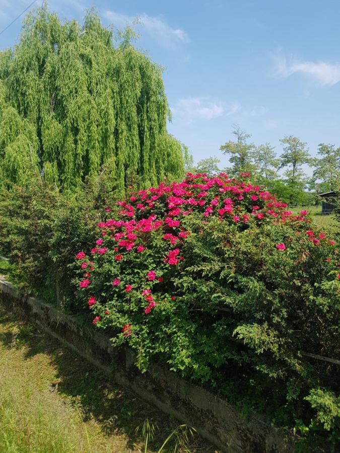 Az.Agr.Cascina Moretta Momo Ngoại thất bức ảnh