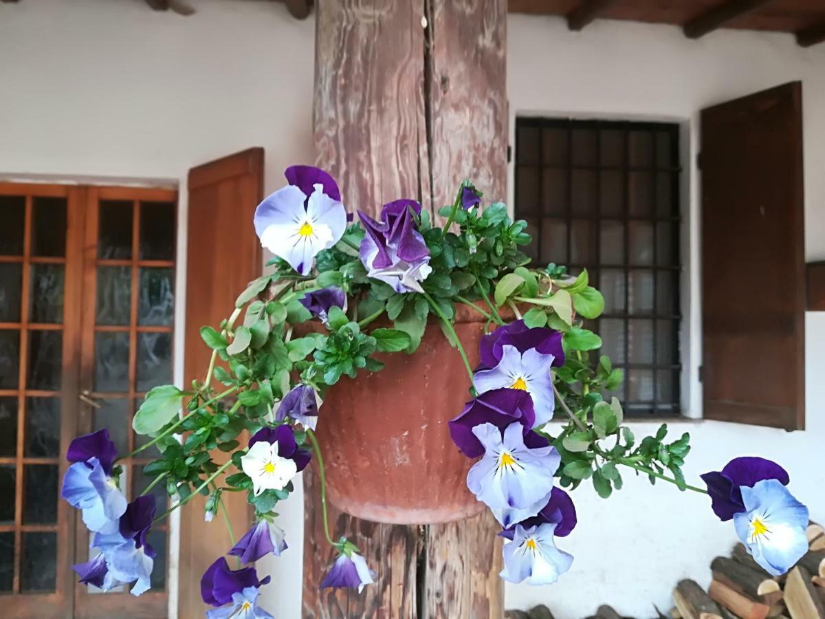 Az.Agr.Cascina Moretta Momo Ngoại thất bức ảnh