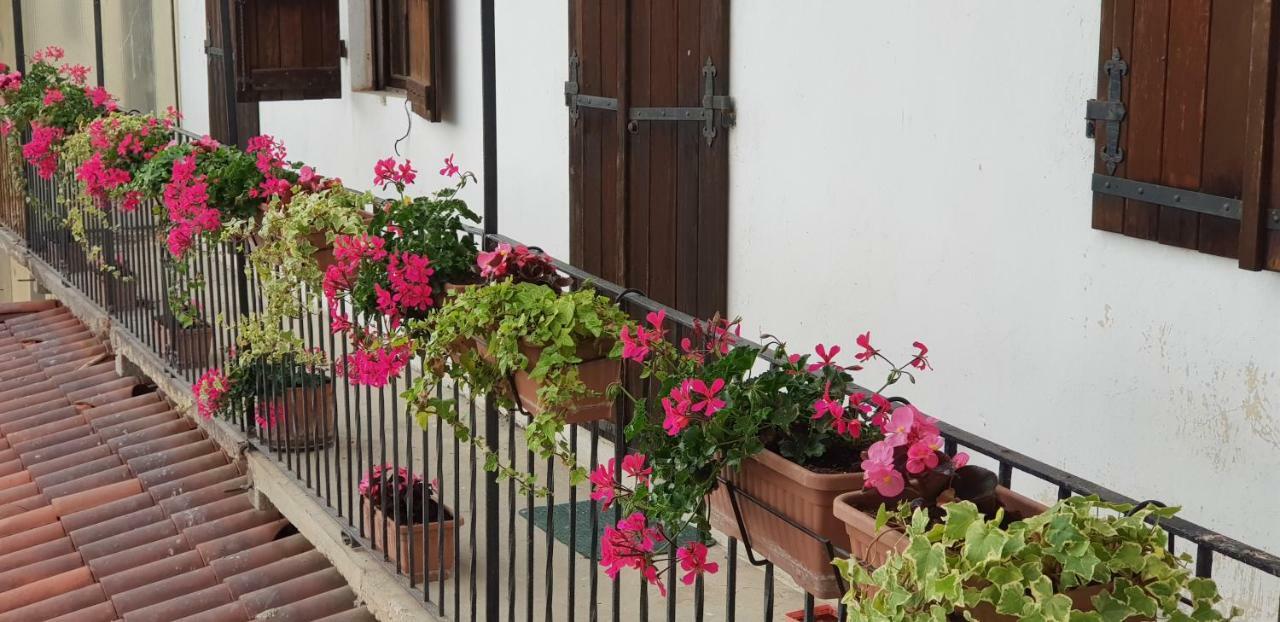 Az.Agr.Cascina Moretta Momo Ngoại thất bức ảnh