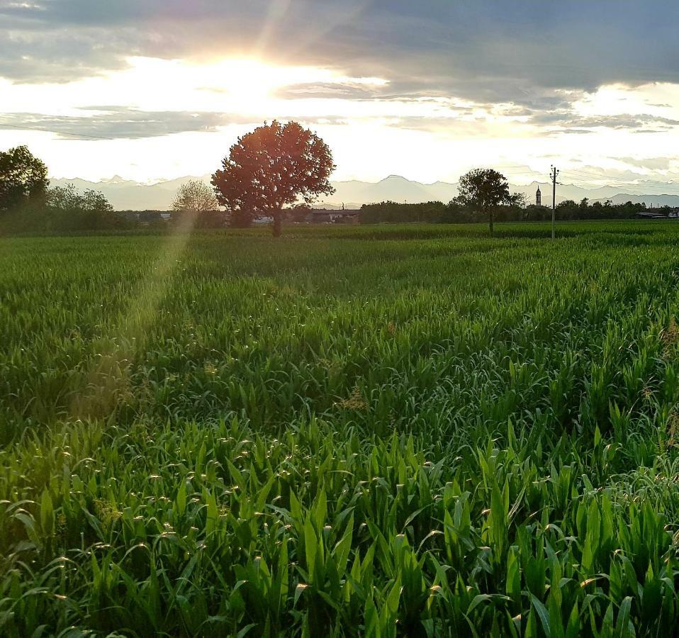 Az.Agr.Cascina Moretta Momo Ngoại thất bức ảnh